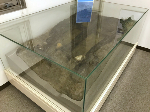 小矢部ふるさと歴史館の水場遺構