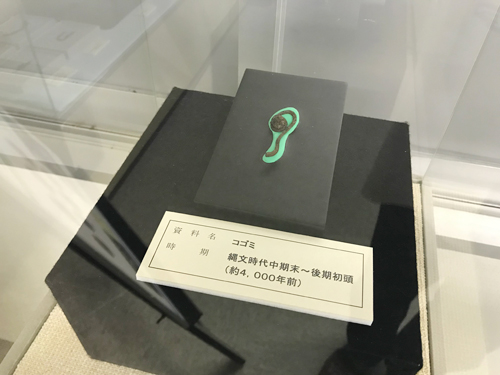 小矢部ふるさと歴史館のコゴミ