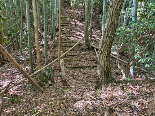 惣領砦跡の山道