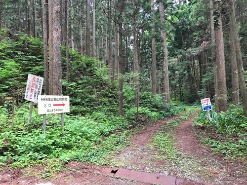 道路からの入口