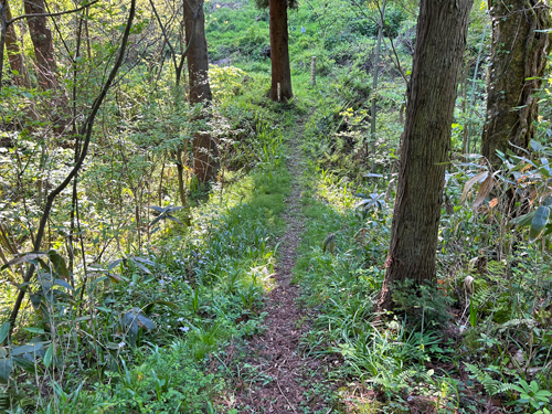 赤丸城跡までの険しい山道