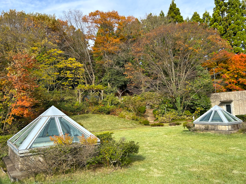 屋上庭園