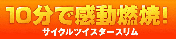 10分で感動燃焼！サイクルツイスタースリム