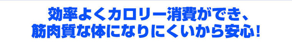 効率よくカロリー消費でき、筋肉質な体になりにくいから安心！