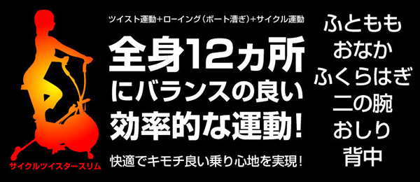 全身12か所にバランスの良い効率的な運動！