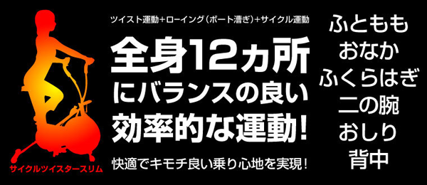 全身12カ所にバランスの良い効率的な運動！