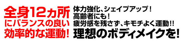 全身12カ所にバランスの良い効率的な運動！
