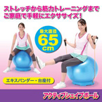 バランスボール/アクティブシェイプボール 【台座・エキスパンダー付き】 直径65cm