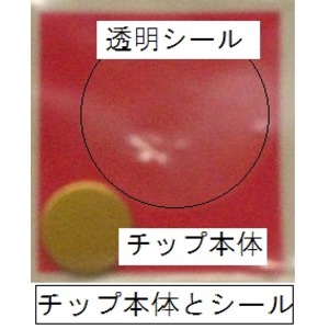 参考画像2