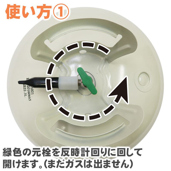 仮画像