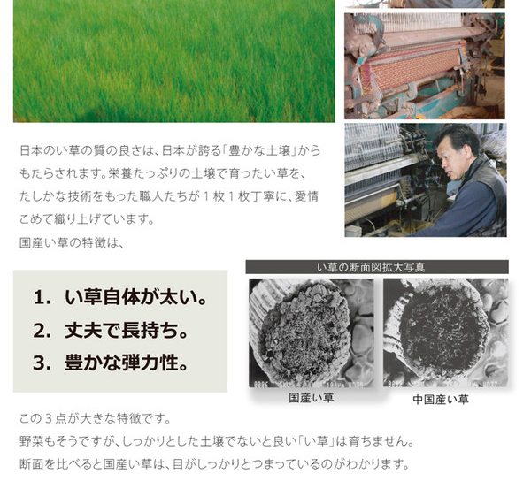 1.い草自体が太い　2.丈夫で長持ち　3.豊かな弾力性