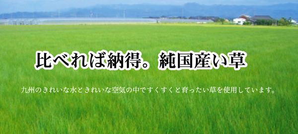 比べれば納得。純国産い草。
