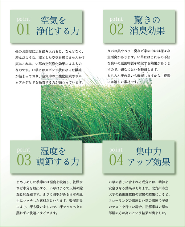 空気を浄化する力・驚きの消臭効果