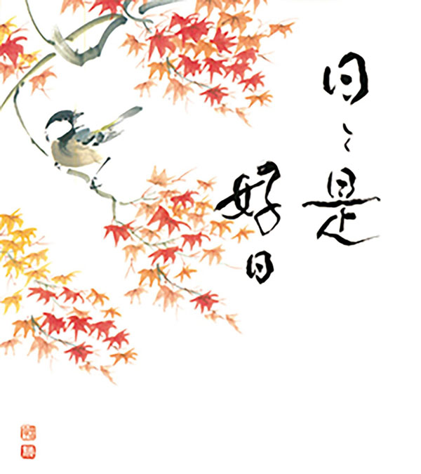 和の彩を堪能紅葉
