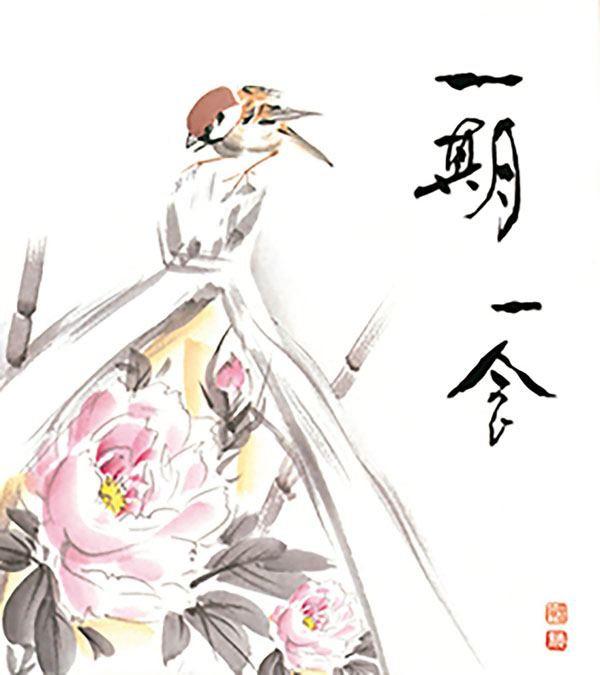 雀の姿に心和む寒牡丹