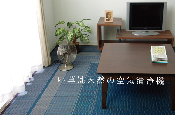 い草の効能